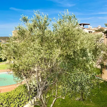 Isa-residence Wityh Swimming-pool Near Porto Cervo And Only 350 Meters From The Lägenhet